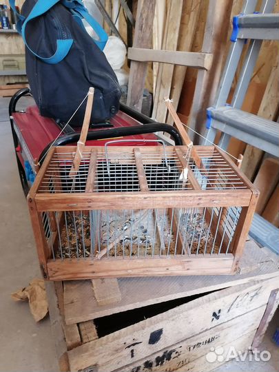 Продаю цепок и большую клетку