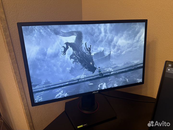 Монитор asus 165 гц