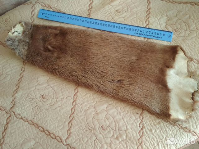 Шкурка нутрии