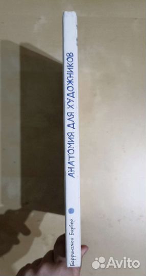 Анатомия для художников