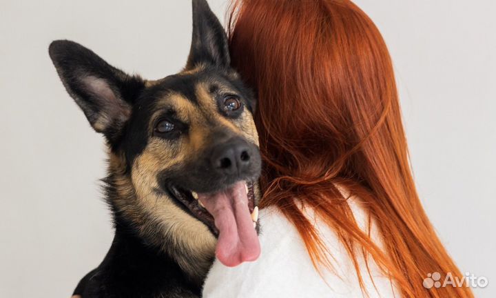 Кинолог, зоопсихолог, который дает результат