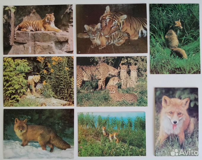 Открытки СССР. Оригиналы. Чистые. Люкс