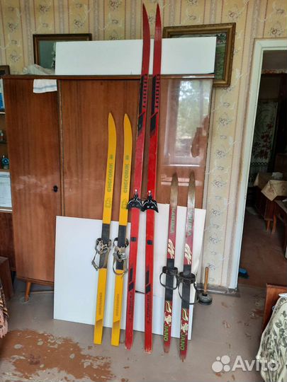 Беговые лыжи