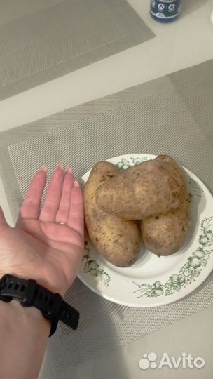 Картофель