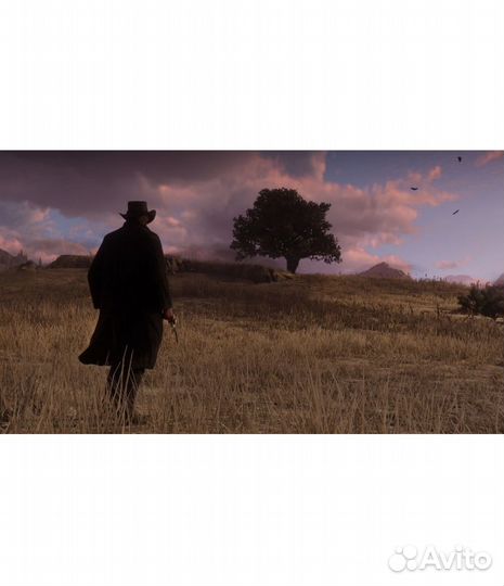 Red Dead Redemption 2 игра на ps4, ps5