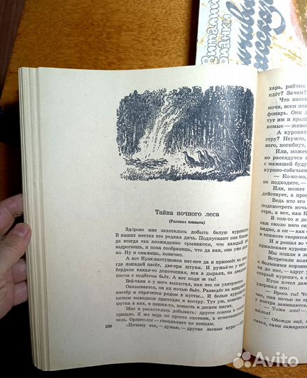Виталий Бианки
