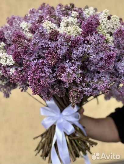 Букеты Сирени с доставкой