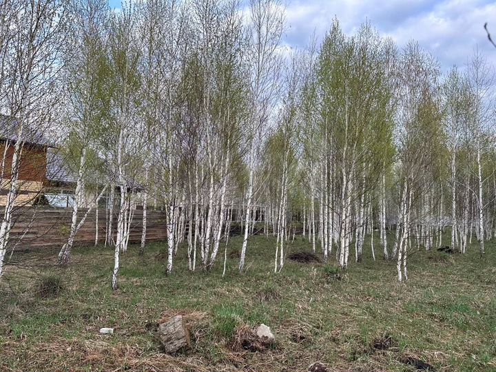 Участок 13,2 сот. (ИЖС)