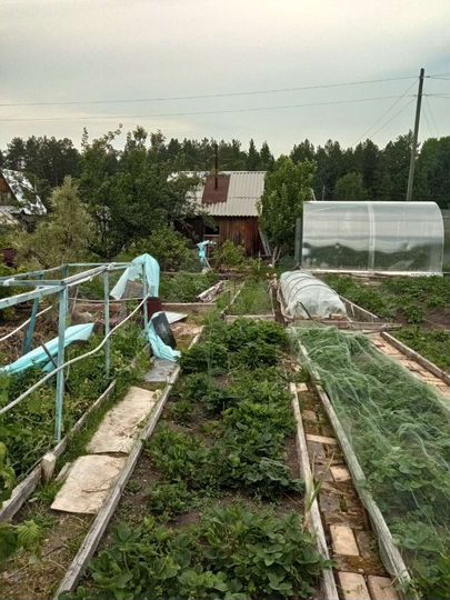 Участок 6 сот. (СНТ, ДНП)