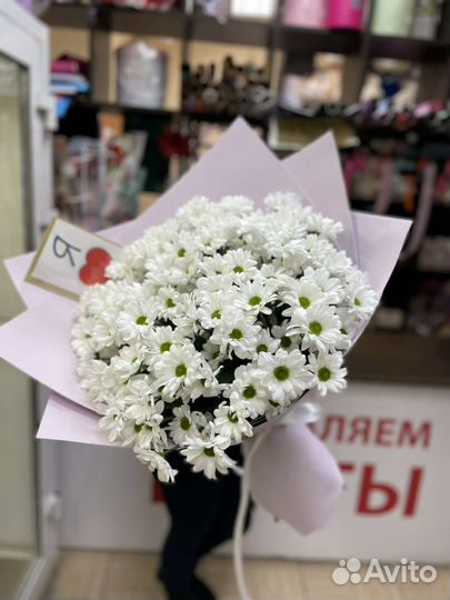 Букет 17 Белых хризантем с