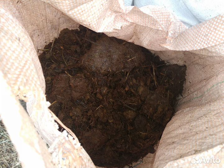 Конский навоз