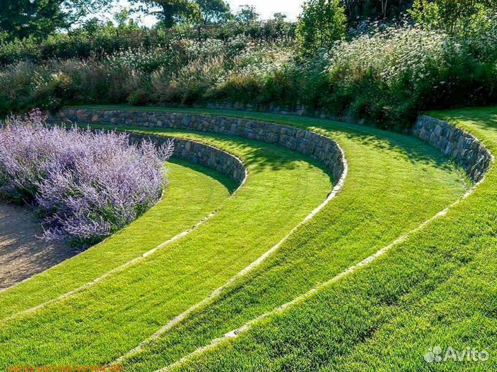 Укладка и продажа газона