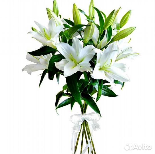 Лилии Цветы Букет Цветов 5шт