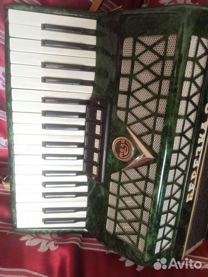 Аккордеон берёзка 2