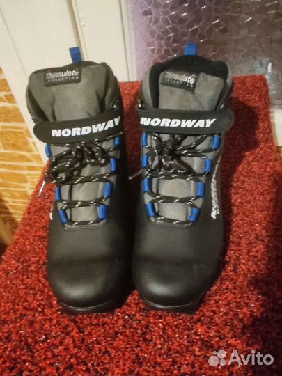 Беговые лыжи