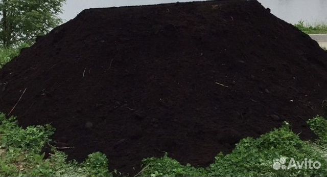 Торф низинный