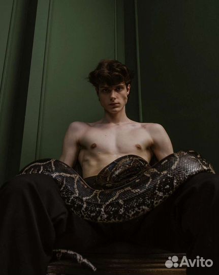 Аренда змей, ящериц, лягушек и тд для фотосессии