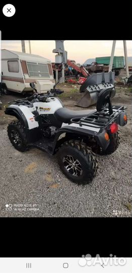 Стелс леопард