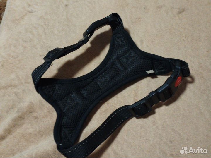 Шлейка для собаки