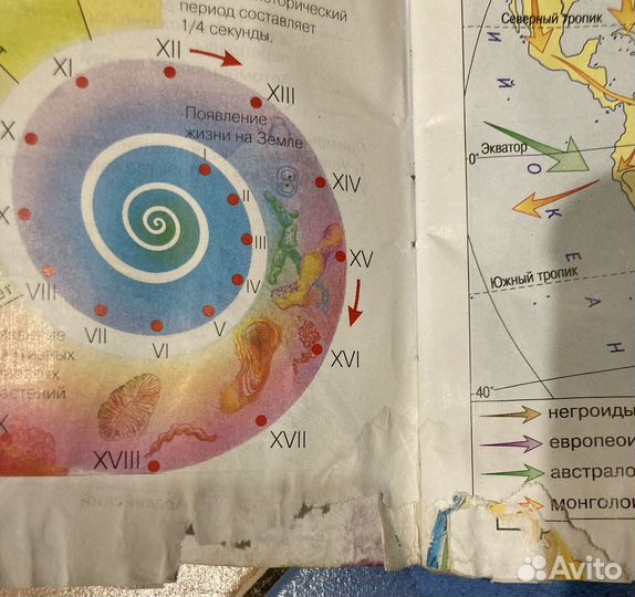 Атлас по географии 7 класс