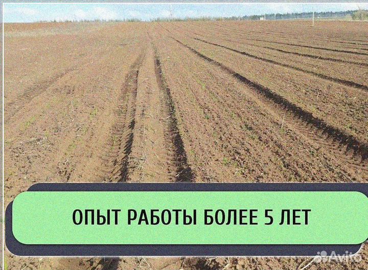 Ищу инвестора в с/х. Доход до 50%