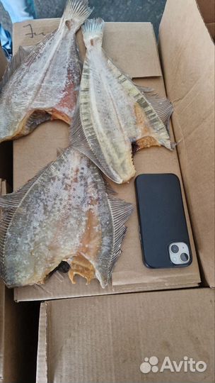 Ерш вяленый из Мурманска отправка В регионы