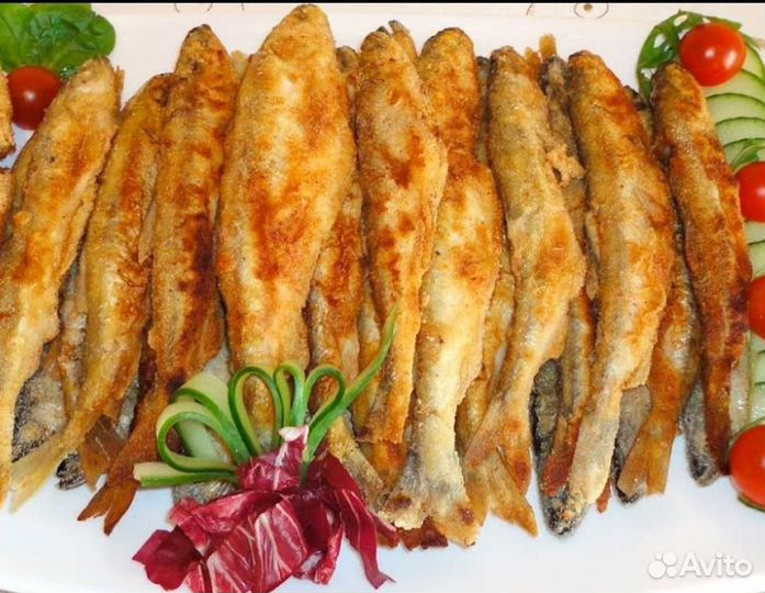 Рыба щука, корюшка