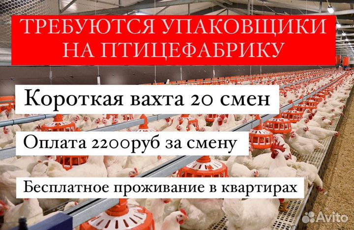 Упаковщики колбасы. Вахта 20 смен