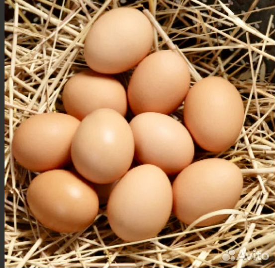 Яйца домашние