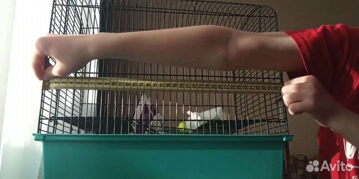 Клетка для грызунов