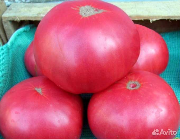 Семена томата,Вкус детства родом из СССР