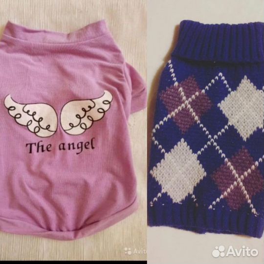 Переноска, PA, свитер, щетка, шапка, комбинезон