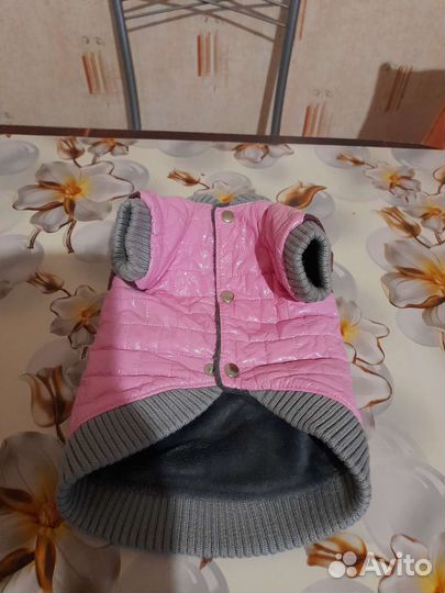 Одежда для собак