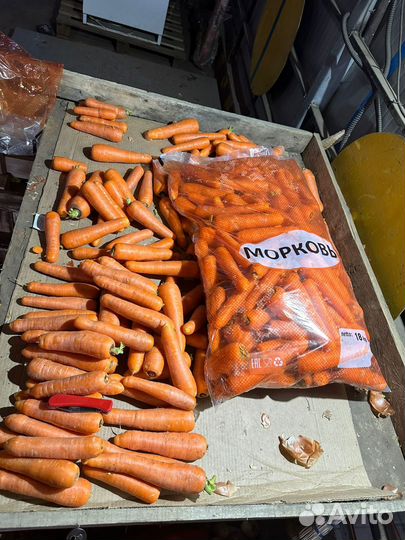 Морковь мытая