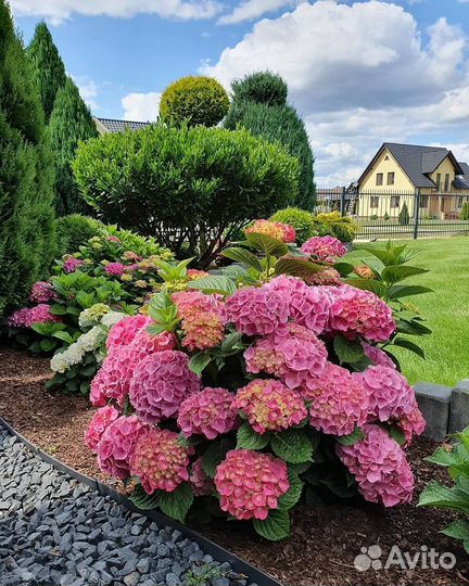 Озеленение, ландшафтный дизайн и благоустройство