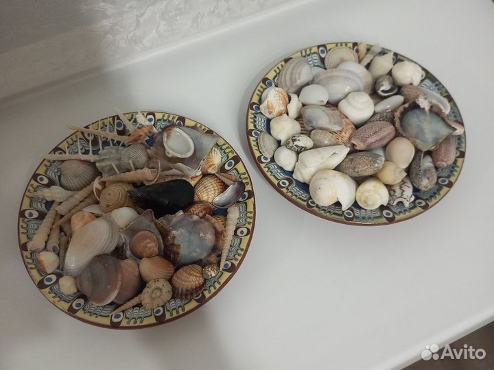 Ракушки в ассортименте