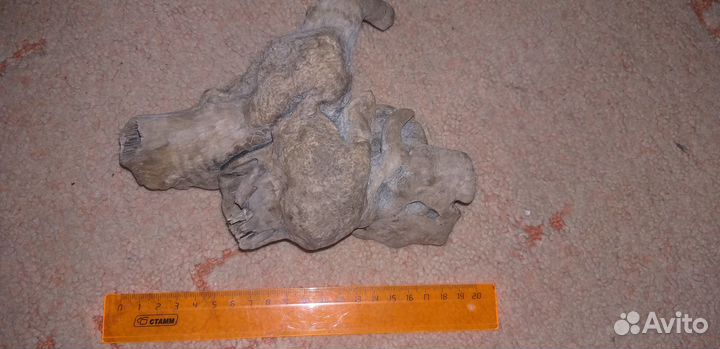 Коряга натуральная