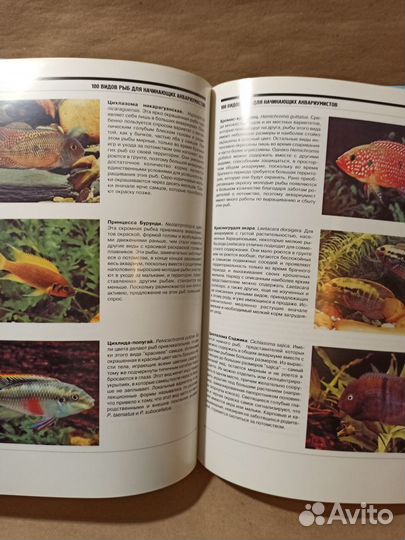 Книги о аквариумных рыбках (2 шт.)