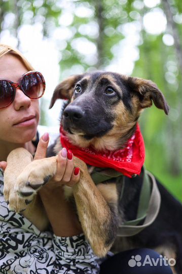 Спасите меня из приюта