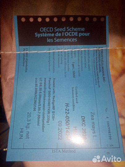 Семена кукурузы