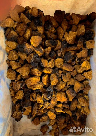 Чага кусковая и молотая
