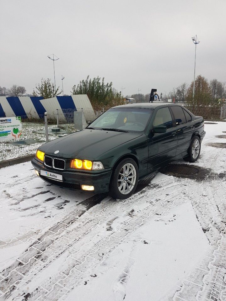 BMW 3 серия: фото владельца