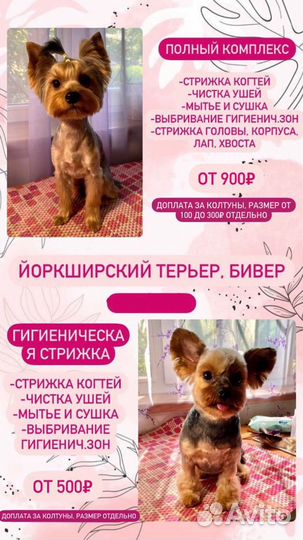 Стрижка собак - Груминг