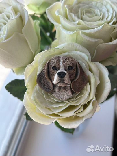 Броши выставочные