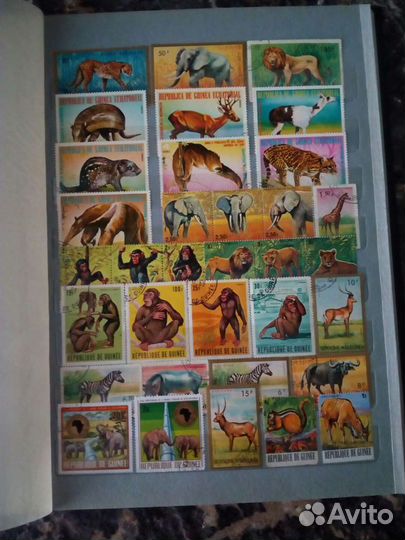 Почтовые марки