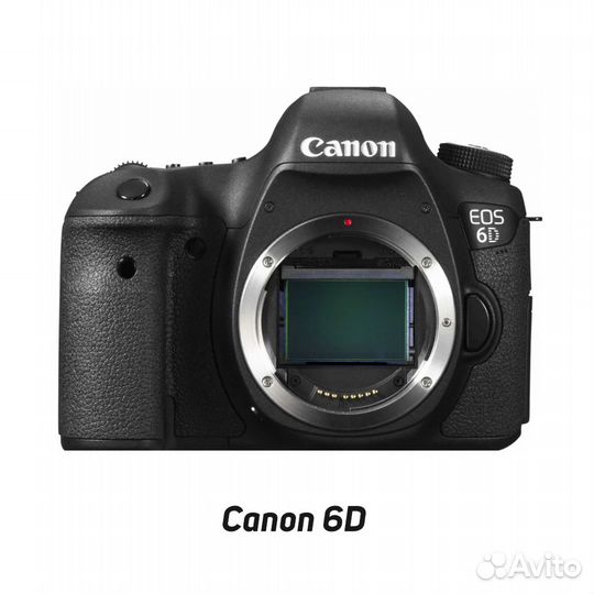 Аренда фотокамеры - Canon EOS 6D
