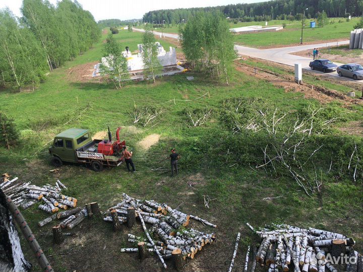 Расчистка участка. От деревьев, поросли, травы