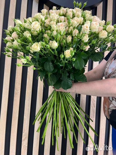 Кустовая роза Яна