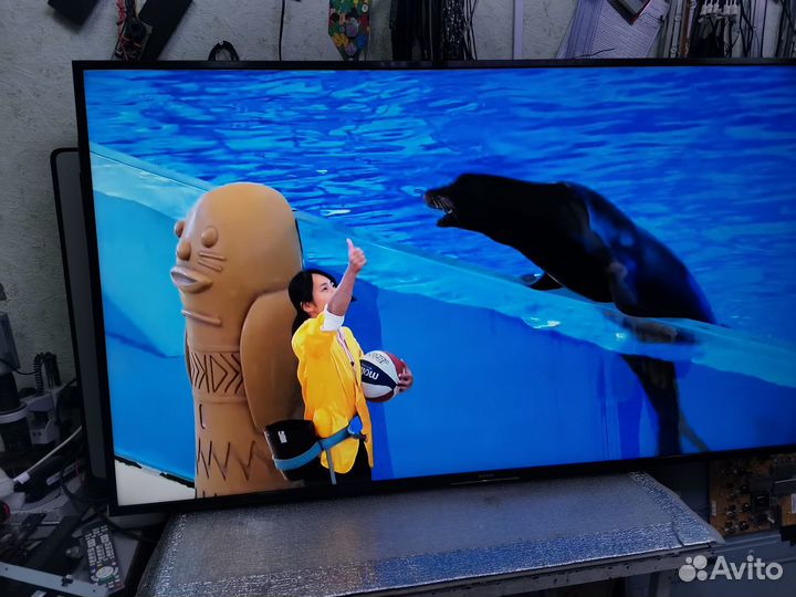 Телевизор sony 65 дюймов