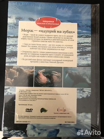 3174 / DVD книга Морж – Идущий на зубах